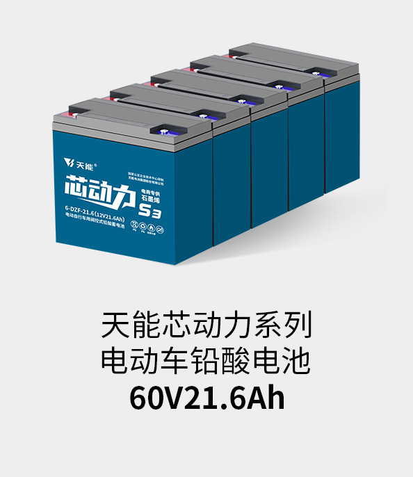 申博sunbet电池60v20ah